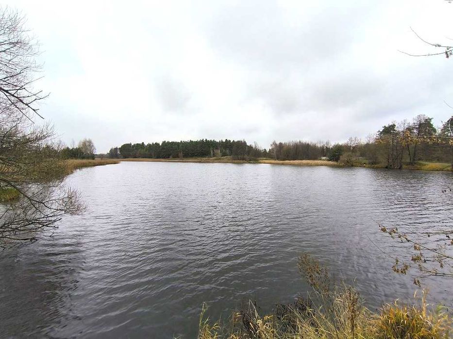 Продам будиночок неподалік є озера та ліс.Від Києва 25км.