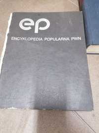 Encyklopedia Popularna PWN 2 szt.