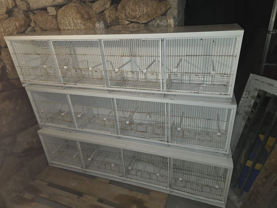 Viveiros de canários