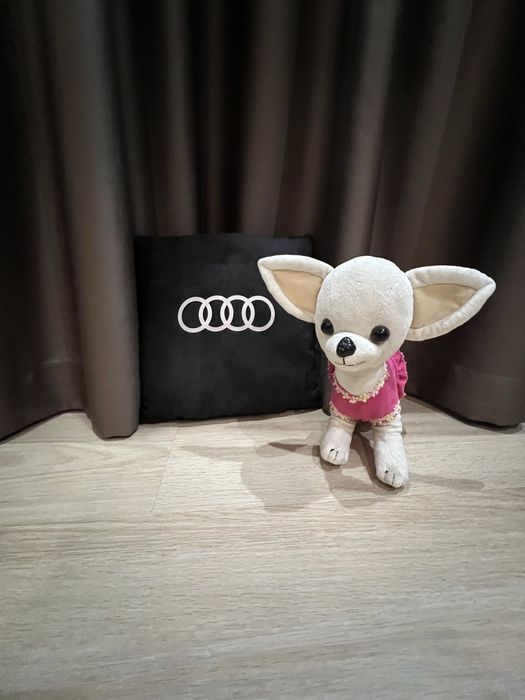 Чичилав Кики + декор подушка ауди