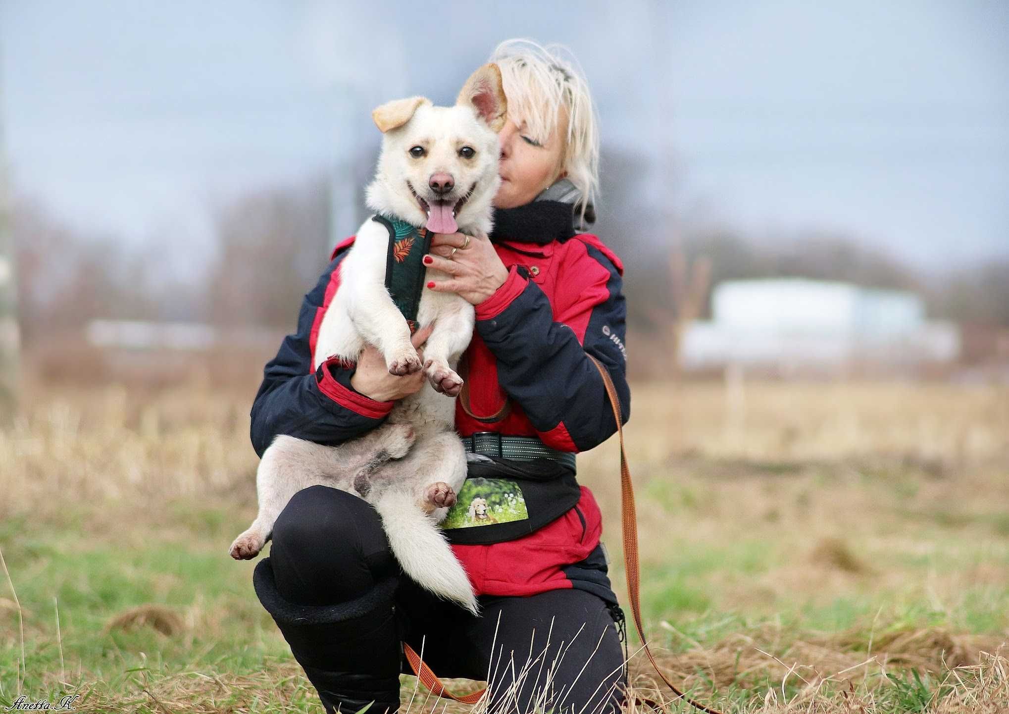 Malutki radosny kochający Kermit do adopcji!