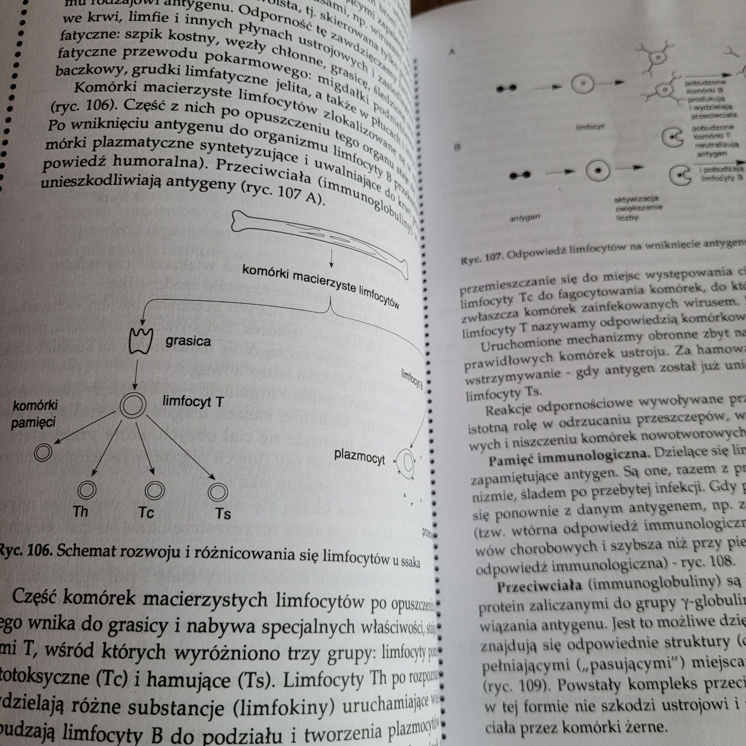 Biologia klasa III