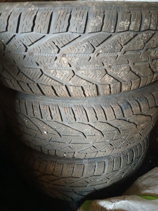 Шини SNOW kormoran