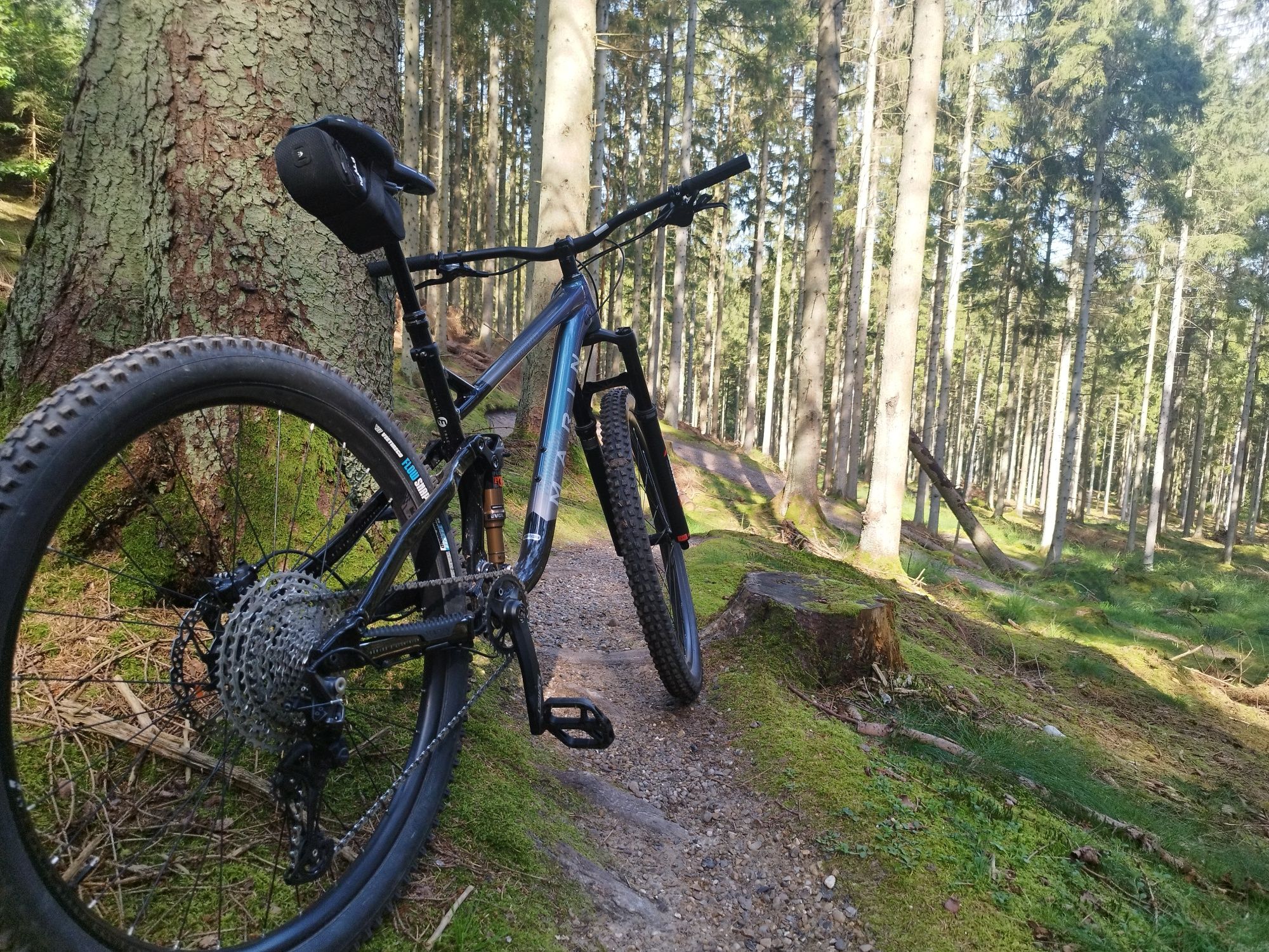 Marin Rift Zone 2