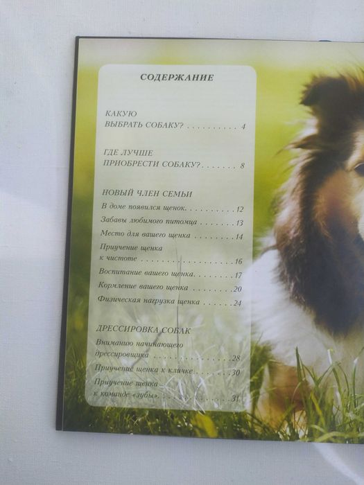 Наши  верные друзья -собаки.Книга.