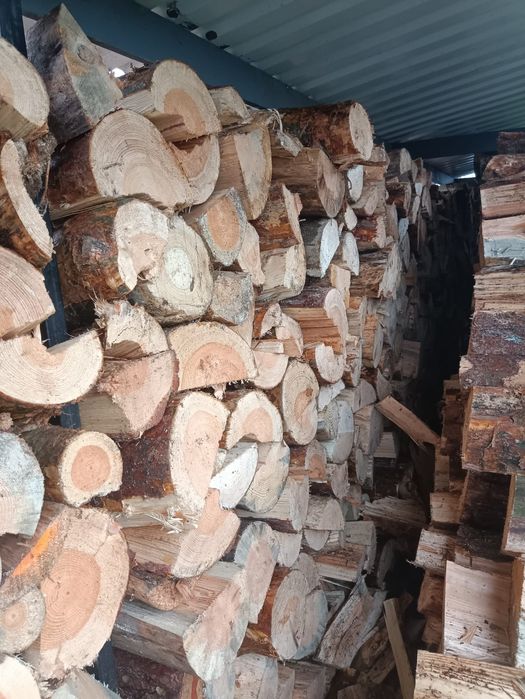 Drewno kominkowe, rozpałkowe gratis