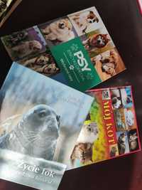 3 Książki-Psy, wybrane rasy - encyklopedia; Mój kot; Życie fok;