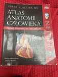 Atlas Anatomii- Netter (polskie mianownictwo)
