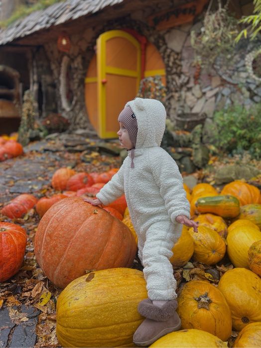 Комбінезон демісезон 86 розміру