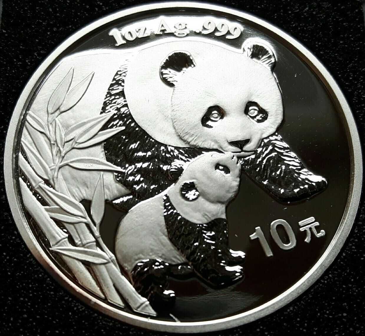 Panda 10 H Chiny 2004