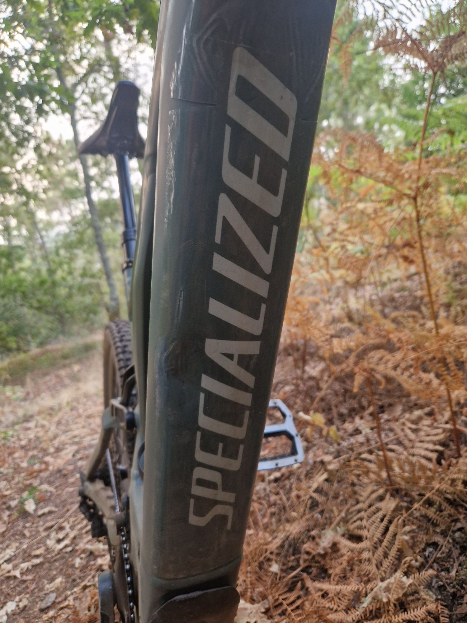 Specialized kenevo 2021