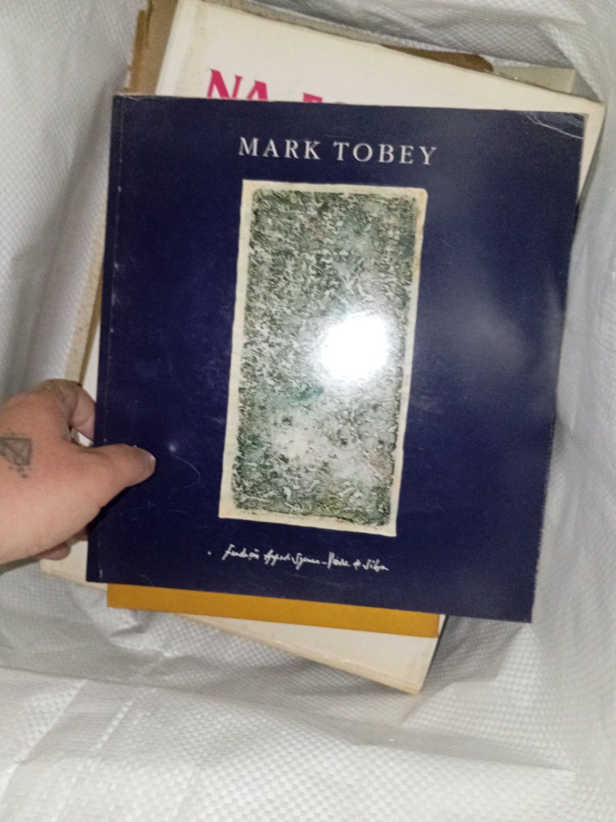 Mark tobey livro fundação Vieira da silva