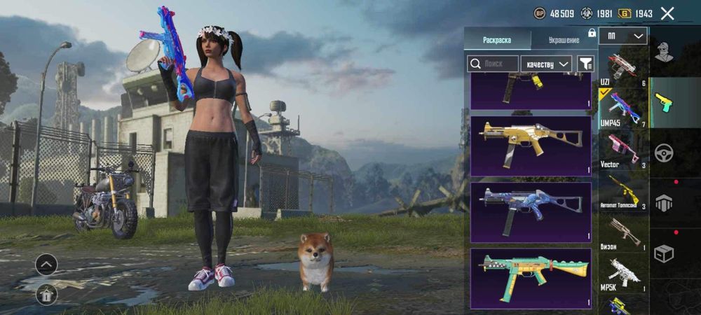 PUBG mobile Account