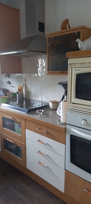 Exaustor Ventil inox