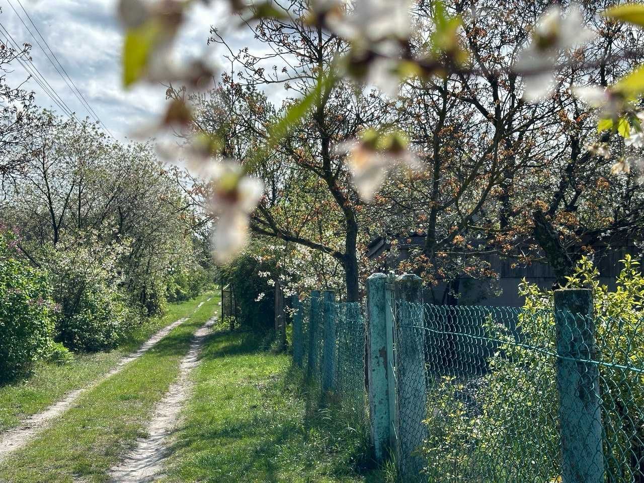 Прадаж дачного будинку в селі Загальці С/Т "Загальці-1"