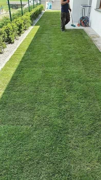 Zakładanie Trawnika Trawa z Rolki Trawnik Siew Trawniki Rolka | TANIO
