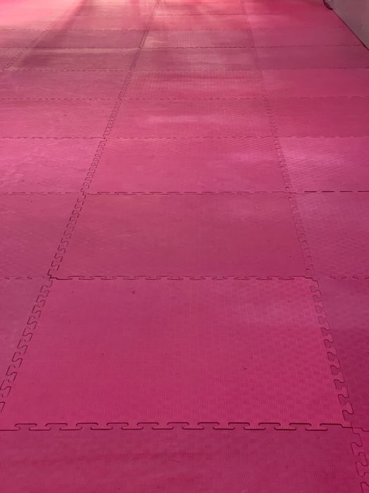 Lote de Tatamis em muito bom estado!!