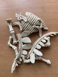Скелет динозавра Розкопки раскопки