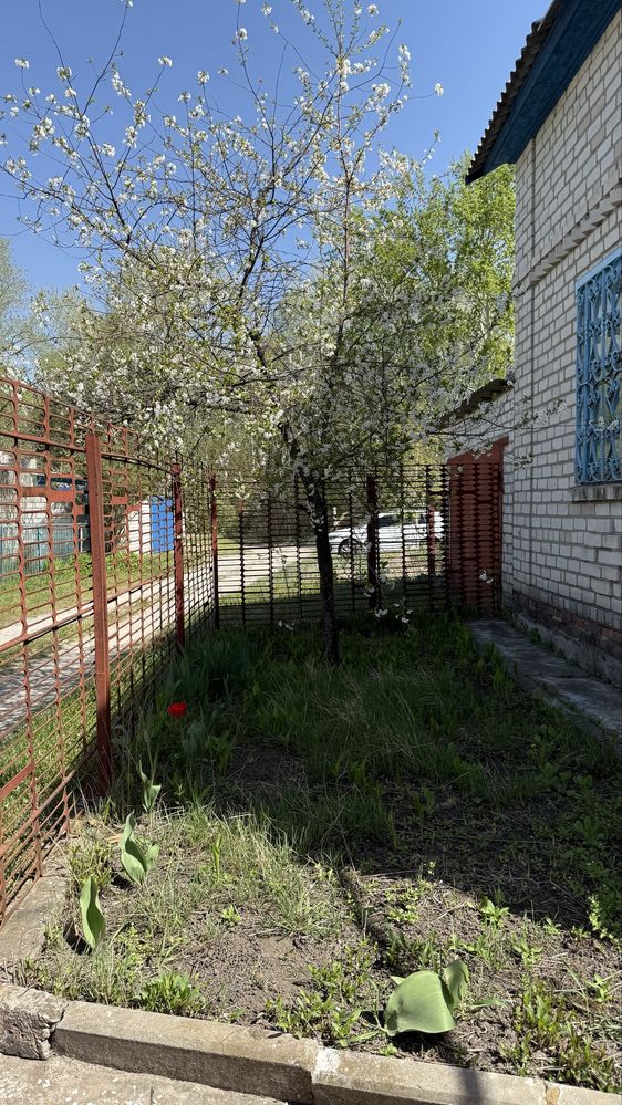 Продам дачу біля озера в с. Чикалівка