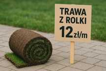 Trawnik z rolki 12zł/m DOSTAWA Gwarancja jakości