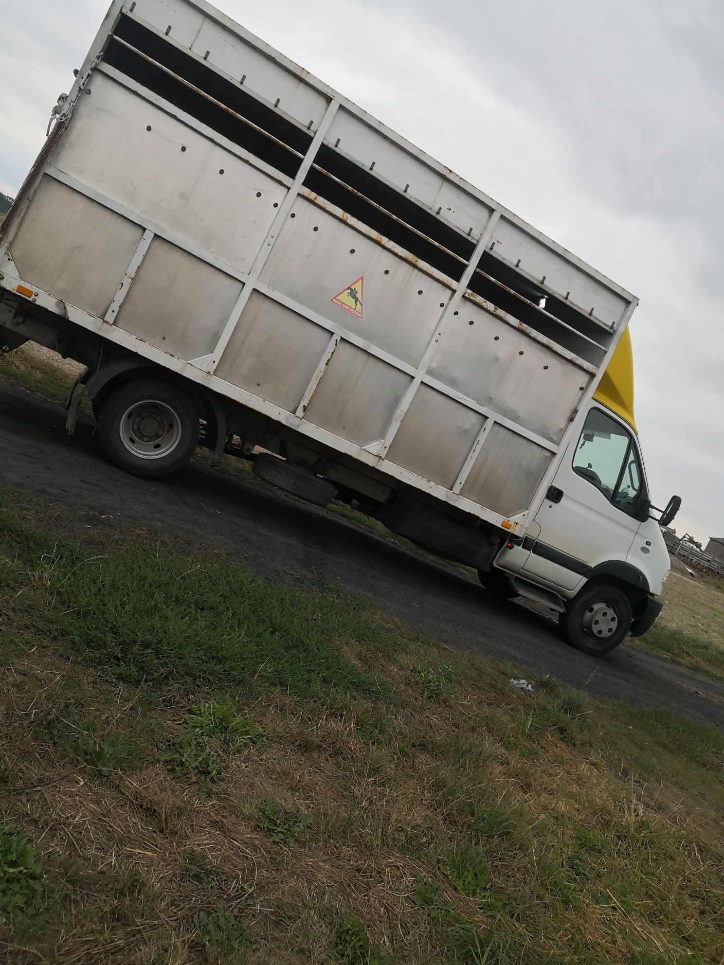 Renault mascot dmc 6,5t do przewozu zwierząt