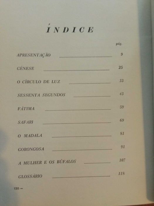 Nuno Bermudes - O círculo de luz