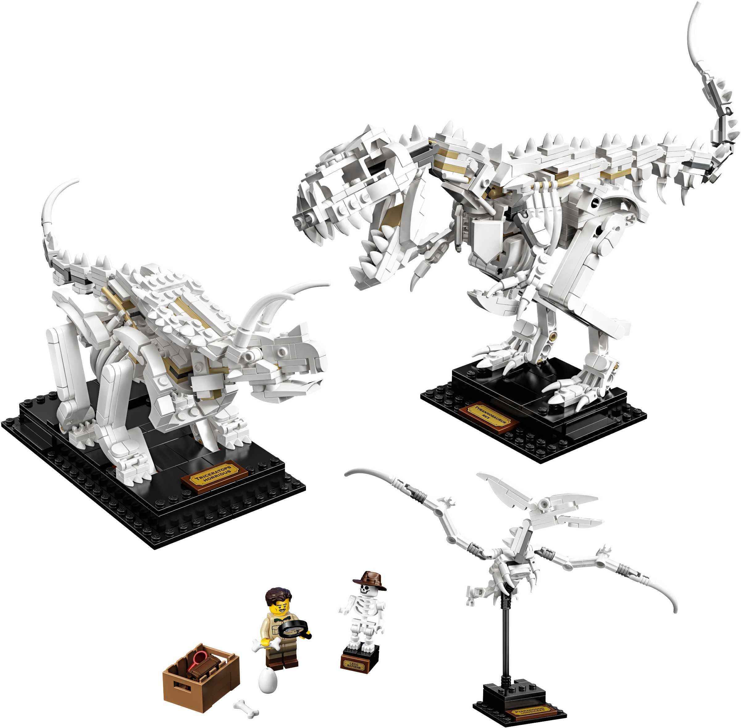 LEGO Ideas 21320 - Szkielety Dinozaurów Nowe