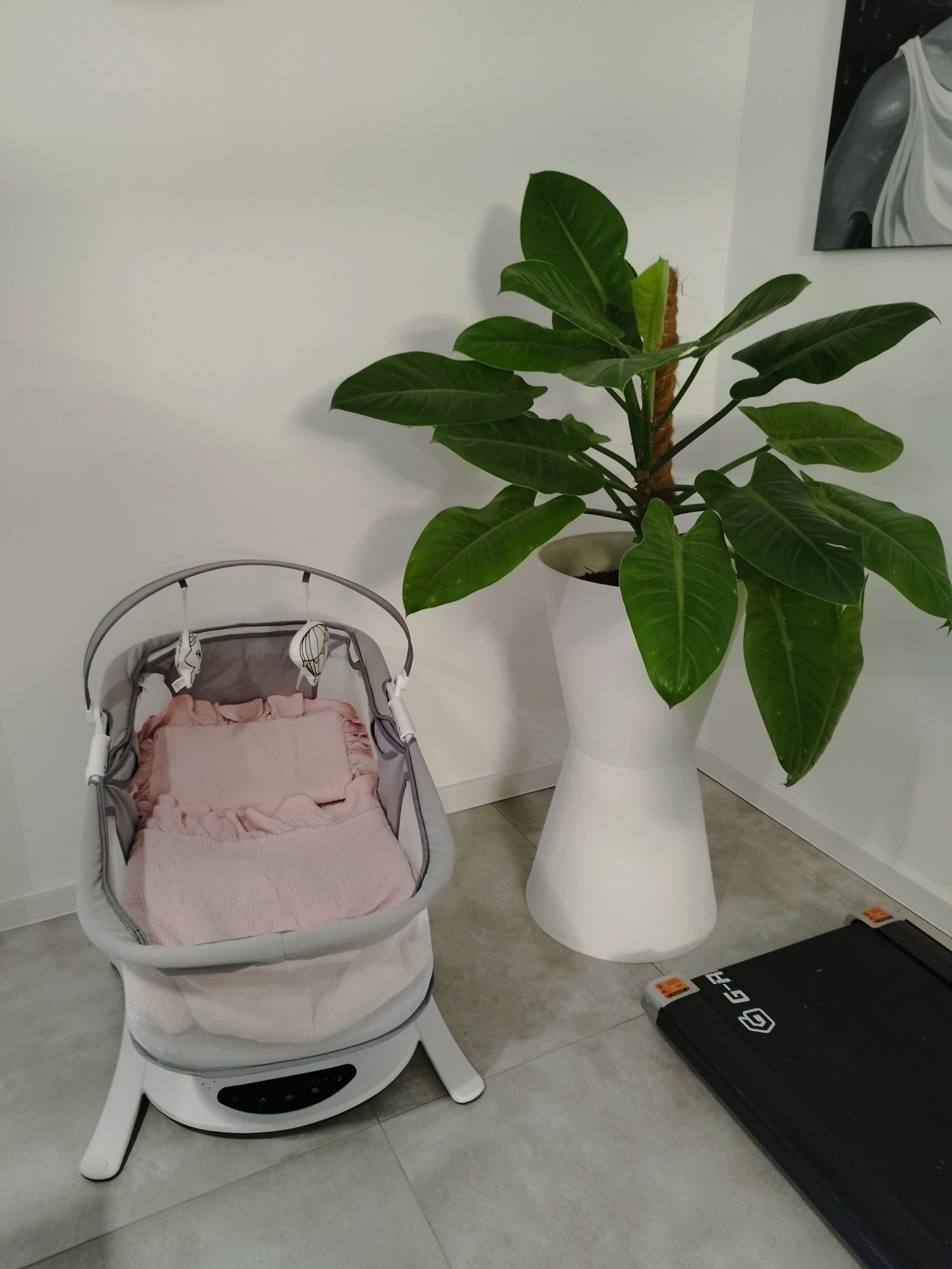 Bujak Lionelo Bella set