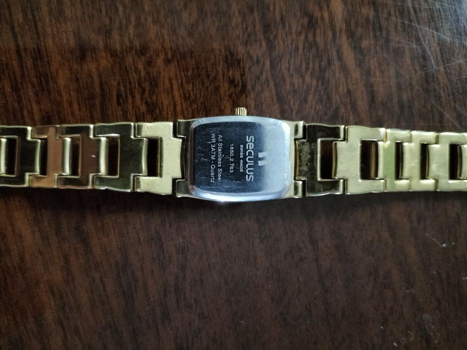 Швейцарські часи SECULUS