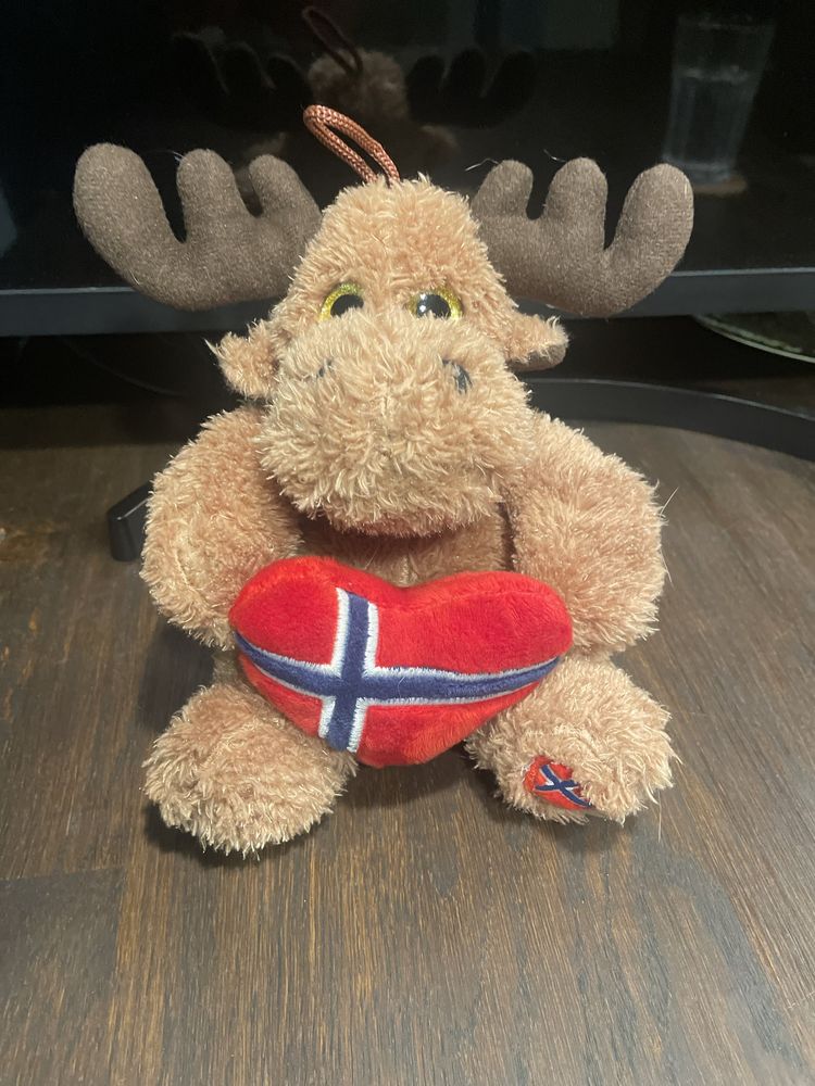 Renifer z Norwegii