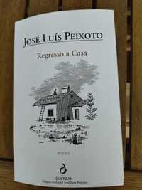 Romance Regresso a Casa de José Luís Peixoto