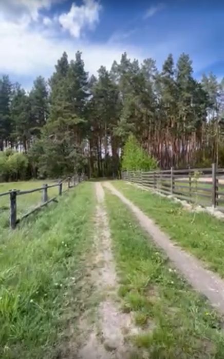 Будинок з земельною ділянкою 45 соток біля соснового лісу