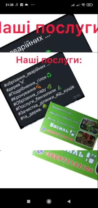 Альпініст.Обрізка, обрізання, валка аварійних дерев