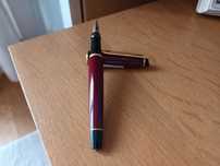 Caneta Tinta permanente Waterman