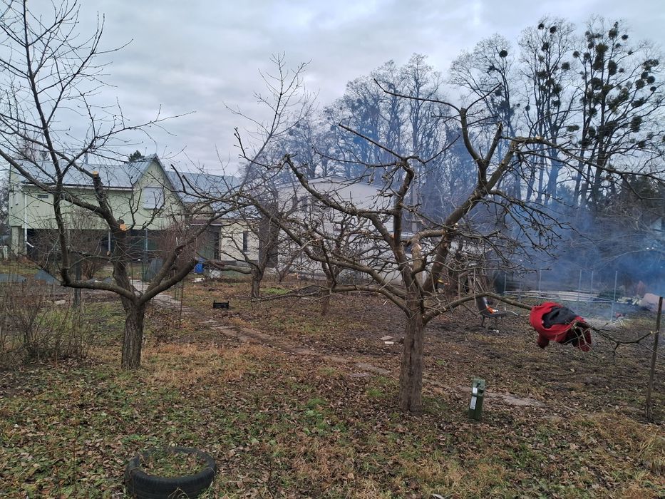 Покос травии,спил дерев, обрізка плодових,