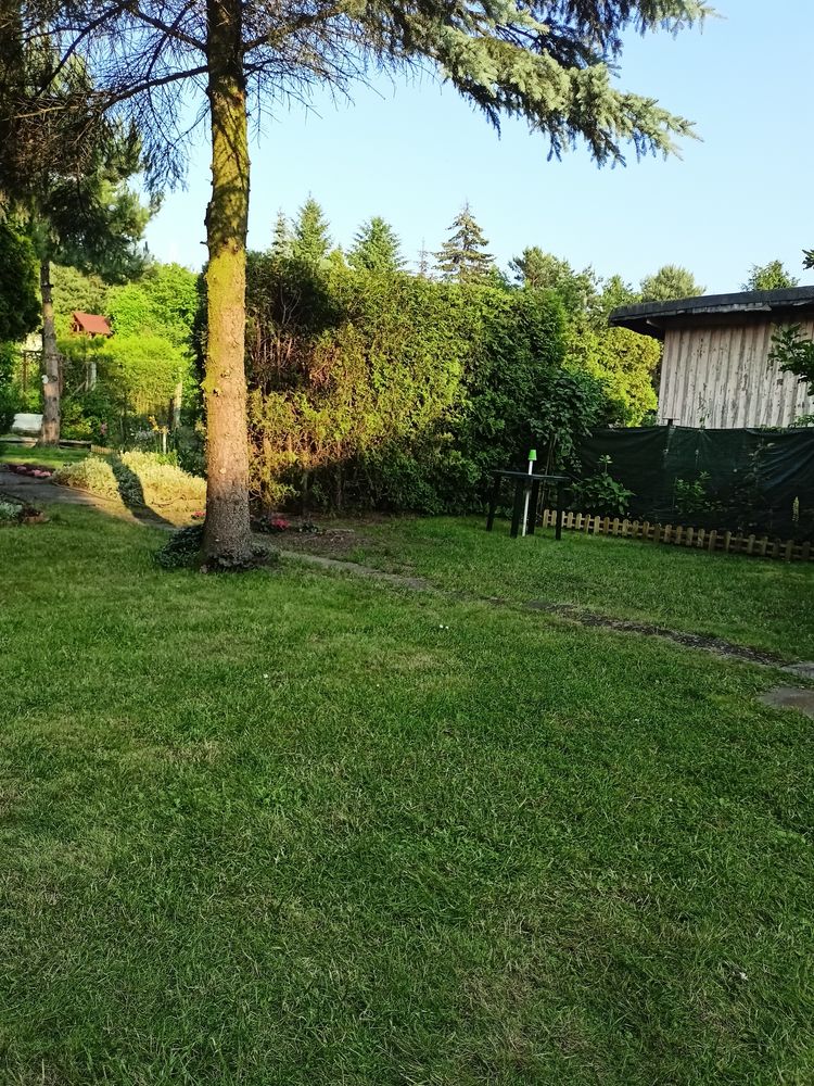 REZERWACJA - Sprzedam ogródek działkowy ROD Piast Chorzów