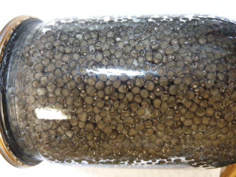 Ікра червона ГОСТ икра красная, черная преміум класу