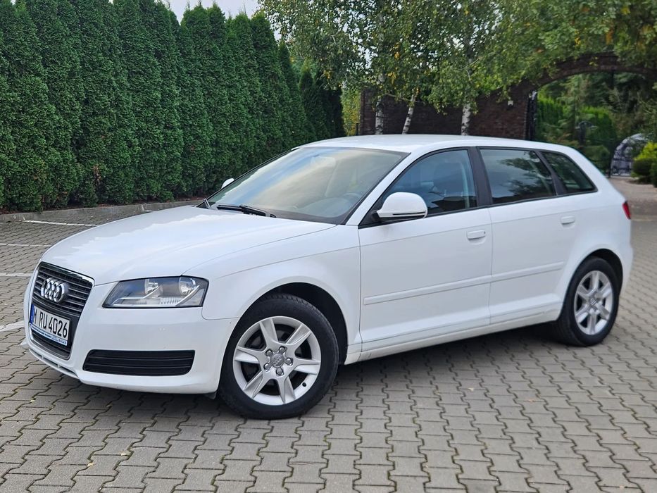Audi A3 1.6 Mpi 102 KM Zadbany , Oryginalny przebieg
