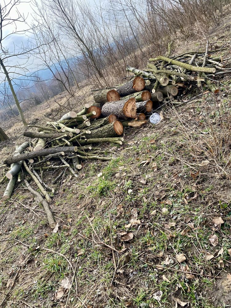 Koszenie trawników, usuwanie zarośli, prace ogrodowe