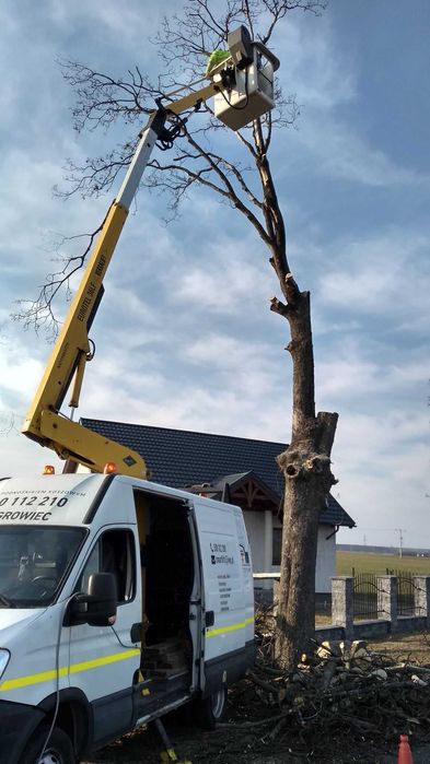 Podnośnik Koszowy zwyżka -  usługi wycinka drzew Wągrowiec  i okolice