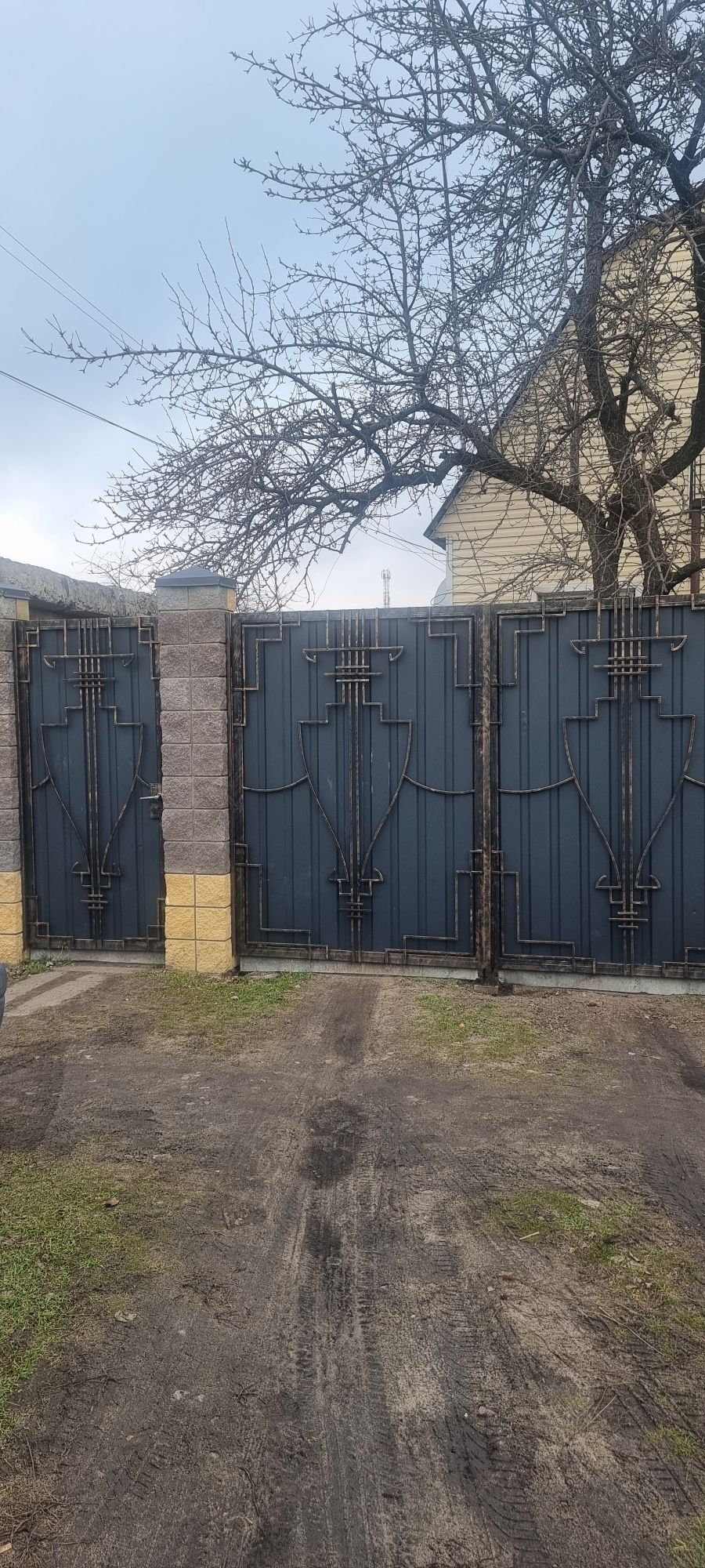 Продам дом в самом  центре( Горветка)