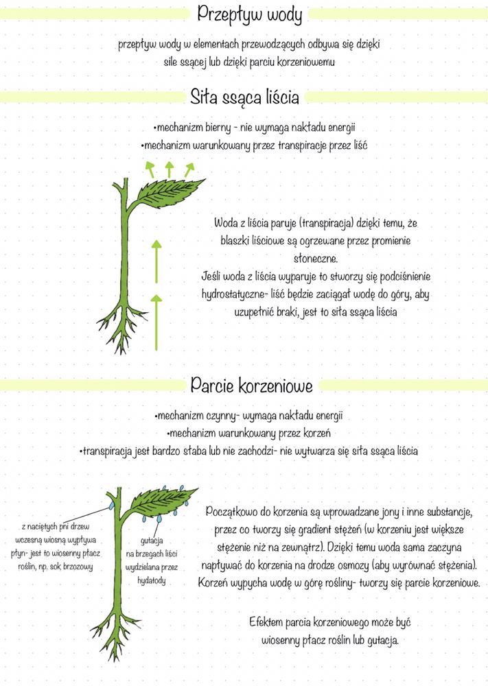 Notaki BIOLOGIA i j. POLSKI - pakiet