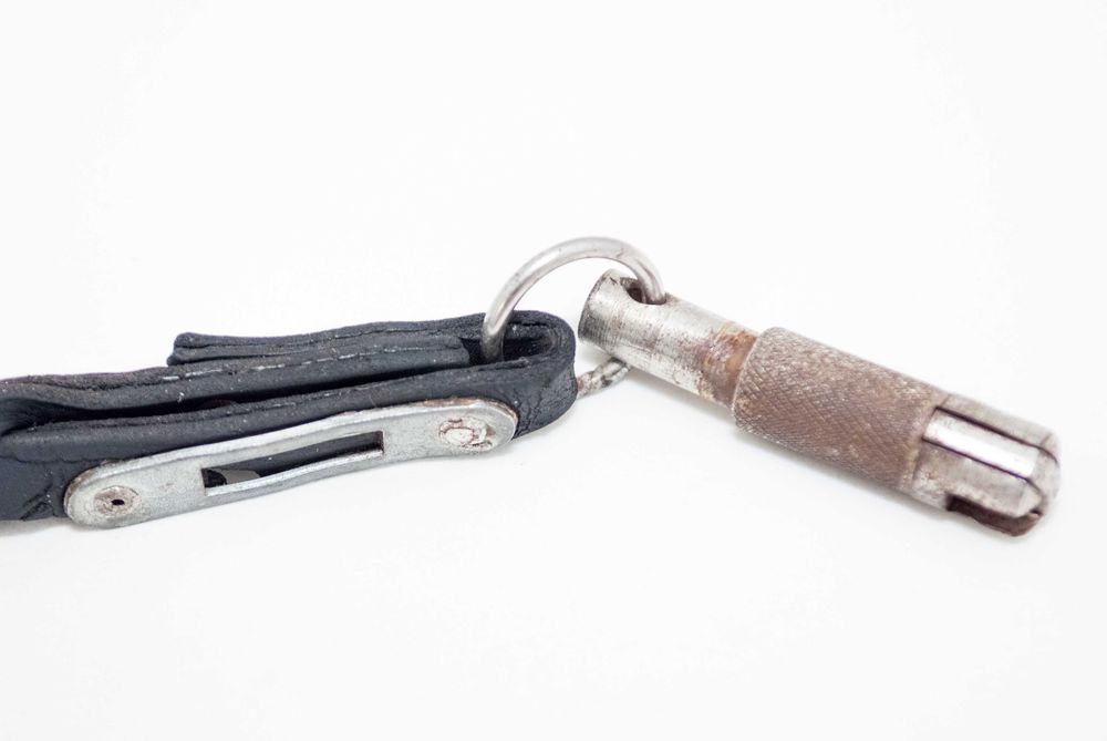 ошейник и поводки