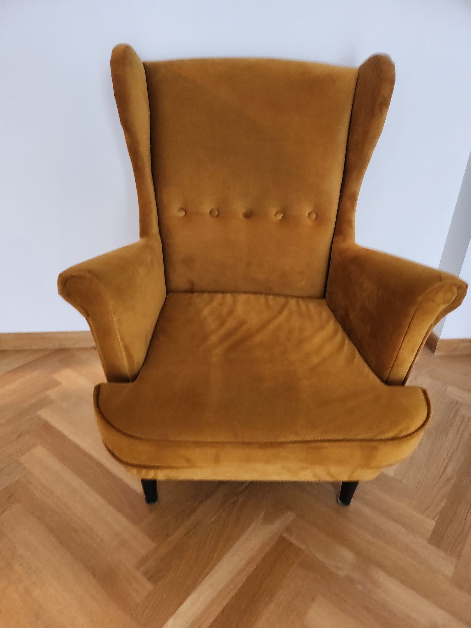 Fotek Uszak musztardowy