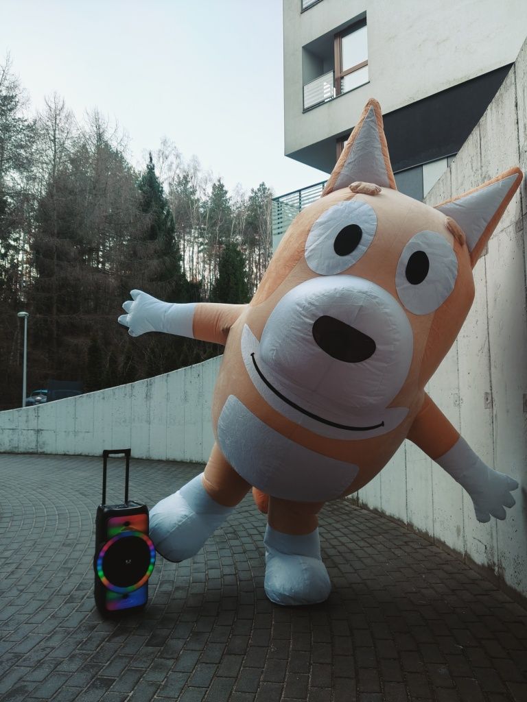 Żywa maskotka na imprezę !Bing Chase Lilo&Stitch Bluey&BingoPanda