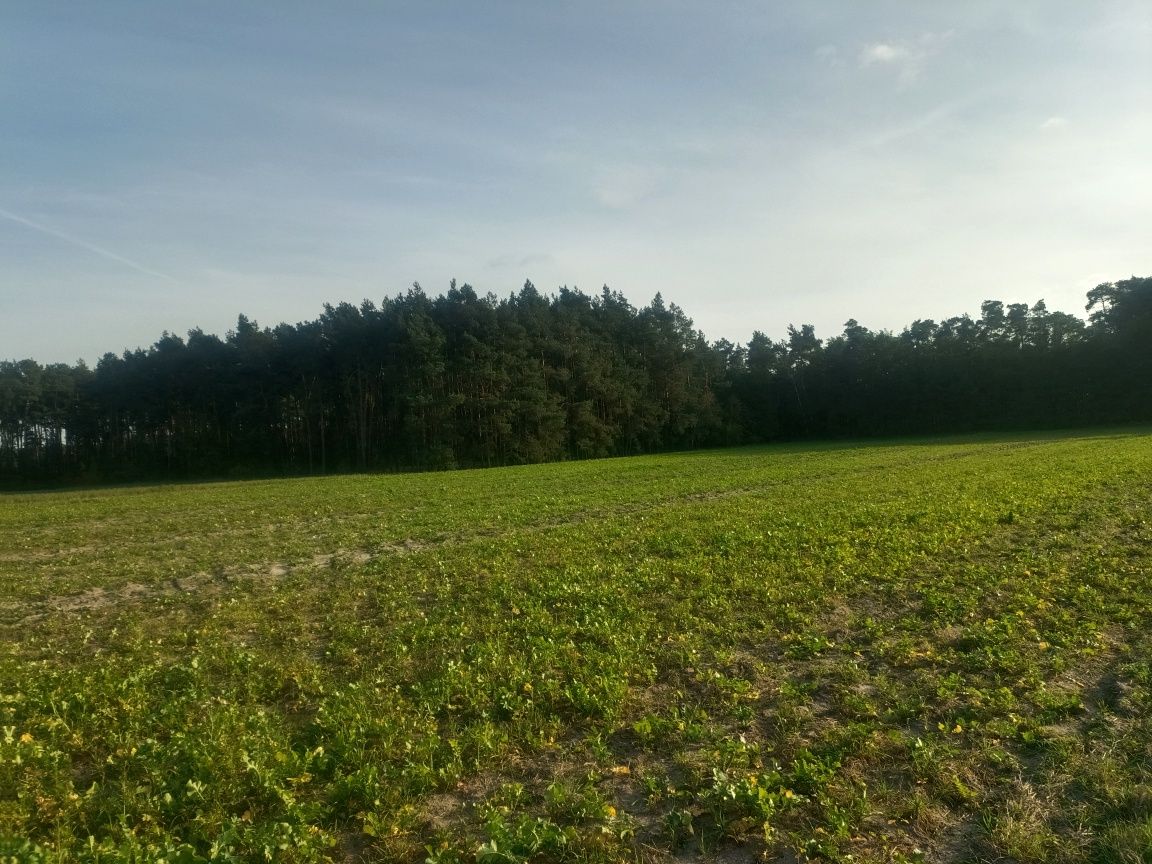 Cichy zakątek - działka budowlana