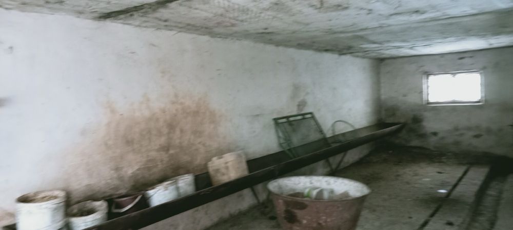 Господарський двір з будівлями