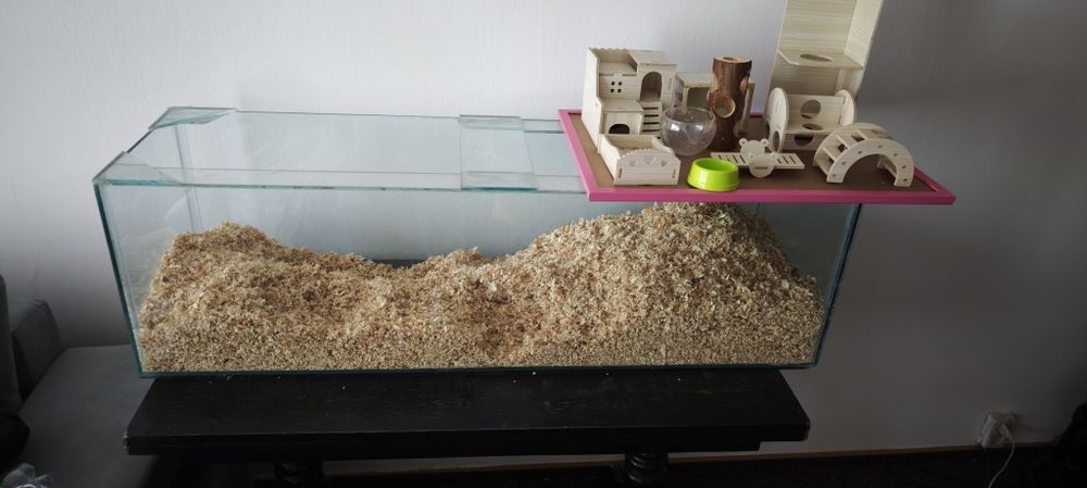 Akwarium dla chomika