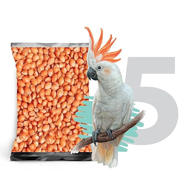 5kg Proso czerwone karma pokarm pasza dla ptaków papug falistych i śre
