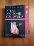 Atlas anatomii netter